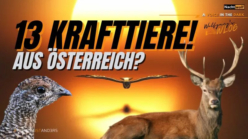 Österreichische Krafttiere: Entdecke 13 Tiere und ihre Bedeutungen