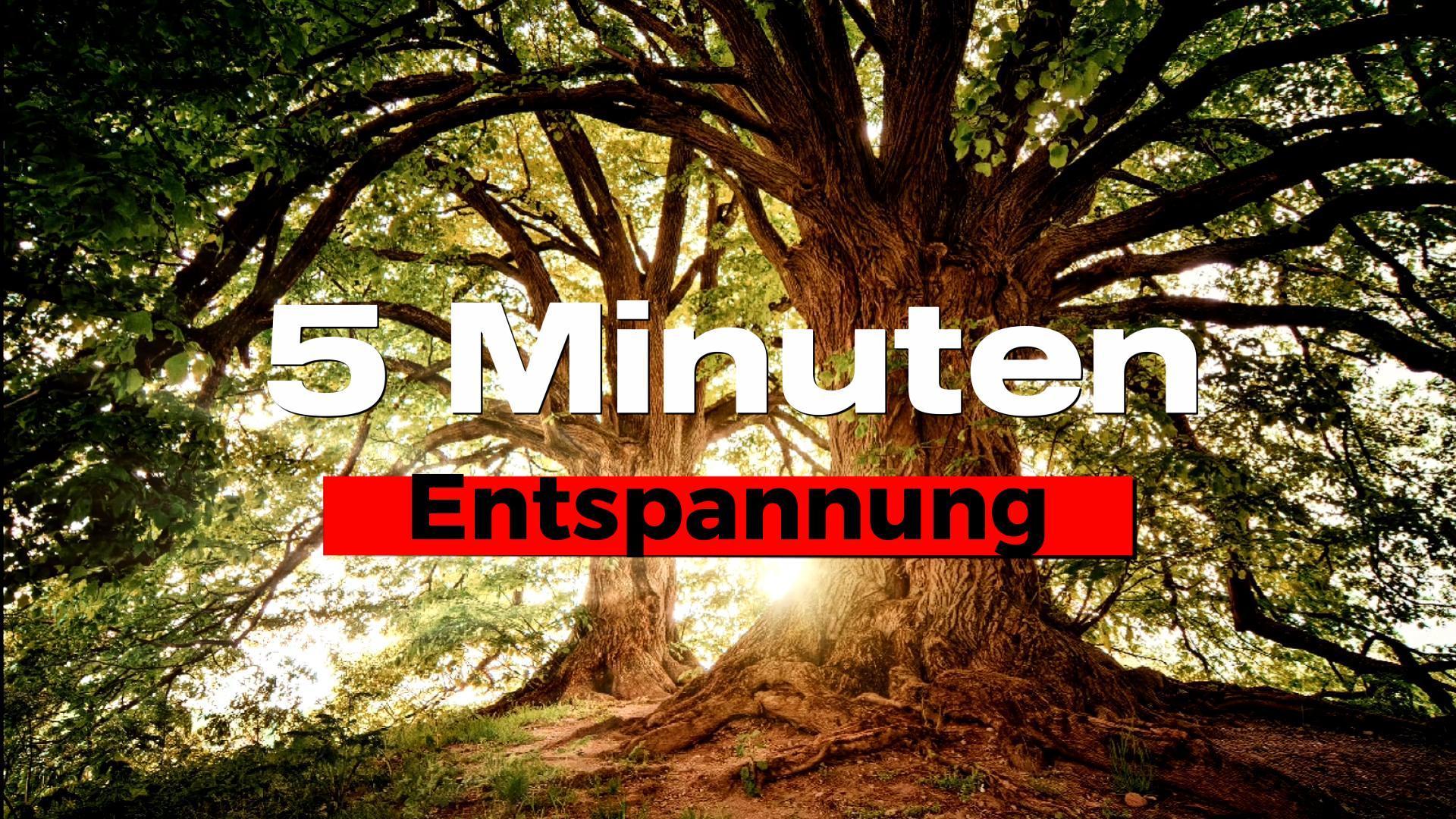 5 Minuten Entspannung NachtWolf.tv